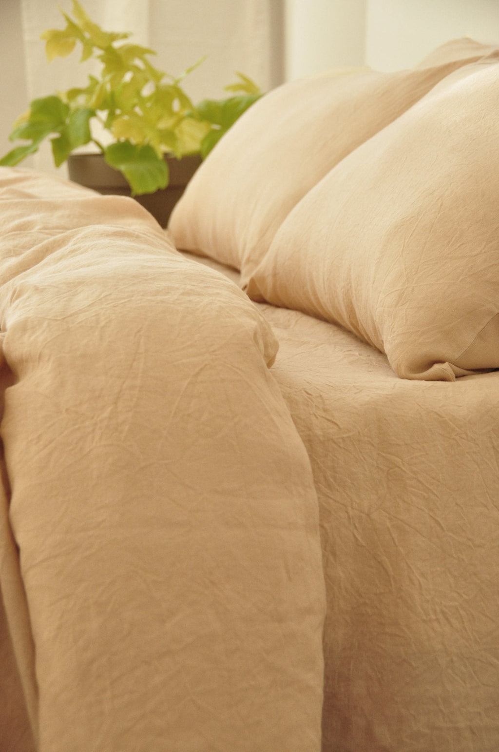 "Caramel pillowcase - True Things"