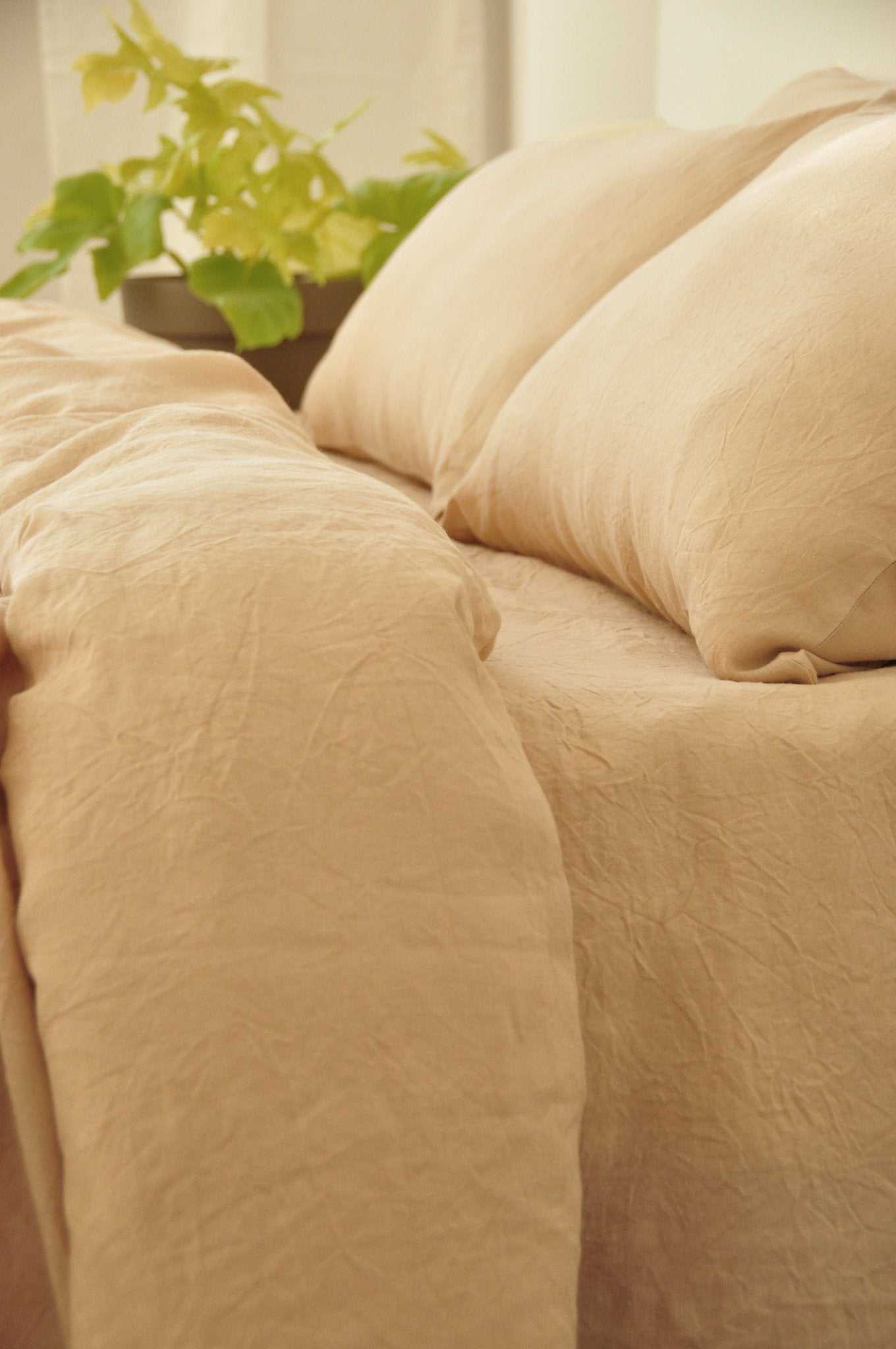 "Caramel pillowcase - True Things"