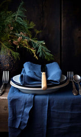 Holiday Indigo set of napkins