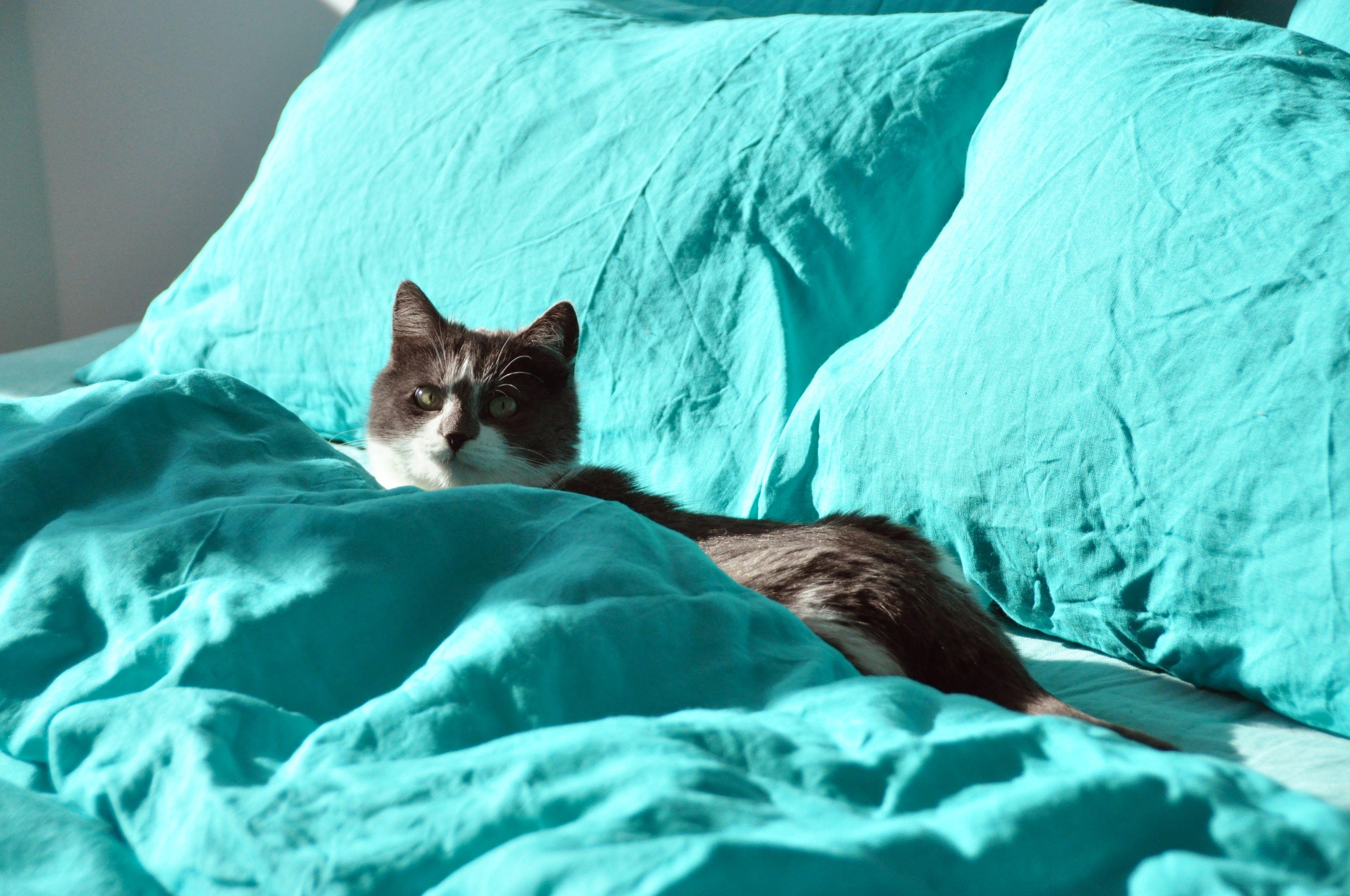 Housse de couette turquoise