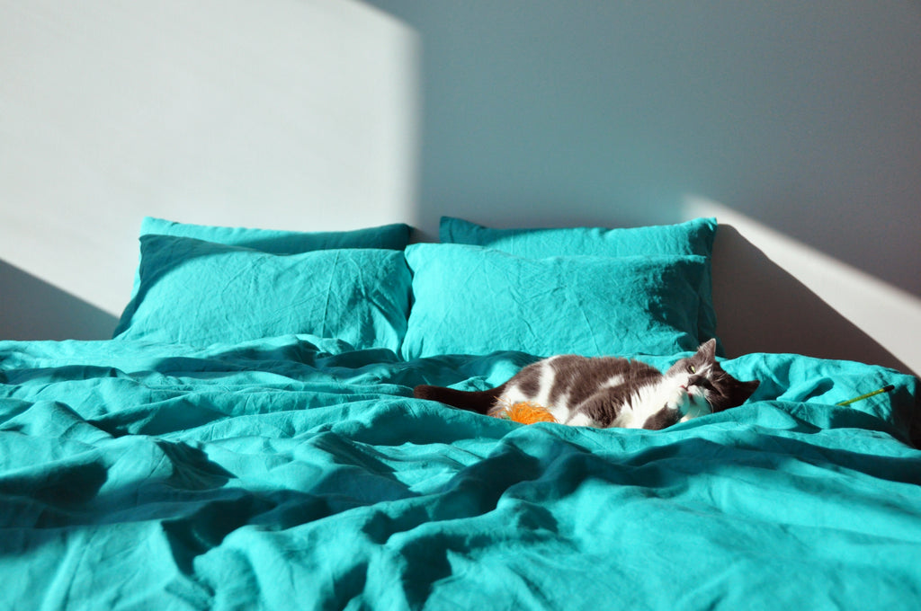 Taie d'oreiller turquoise