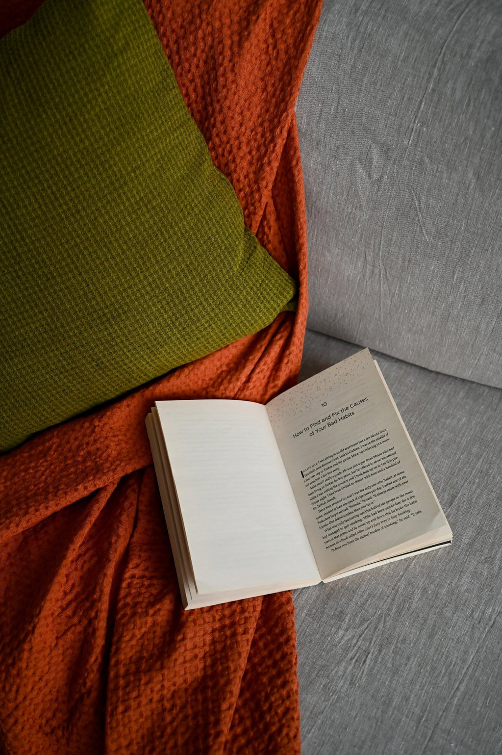 Undyed linen sofa slipcover - True Things